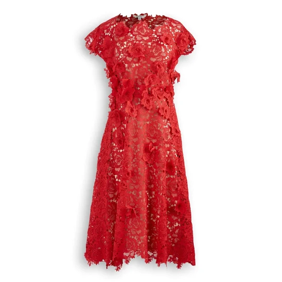 Elegant Red Lace Dress - Picture 2 of 2